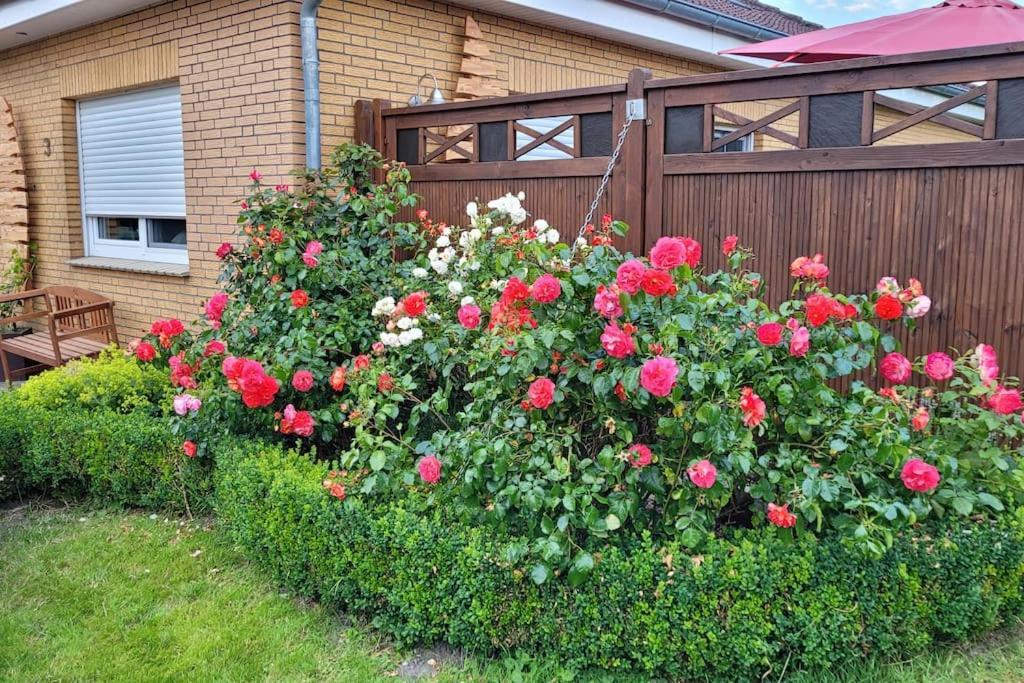 Hinte Fh Ostfriesland To Huus, Zw. Emden Und Greetsiel 빌라 외부 사진